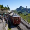 Schynige Platte